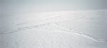 08 Armin Linke Ice pack Artic North Pole 2011 stampa fotografica su alluminio con cornice in legno cm100x200 courtesy Vistamare Pescara e lartista I cani e i lupi. Un tour d’autore fra gli stand di Artissima