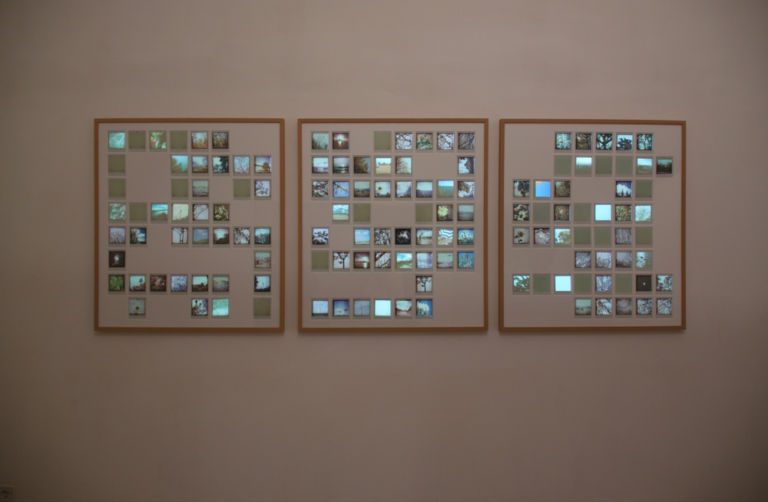 Alessia Di Montis Still of Life Seasons 2007 2013. Video proiezione mapping su polaroid tre quadri con cornice cm 103 x 91 cad. c Le origini di Sara Zanin