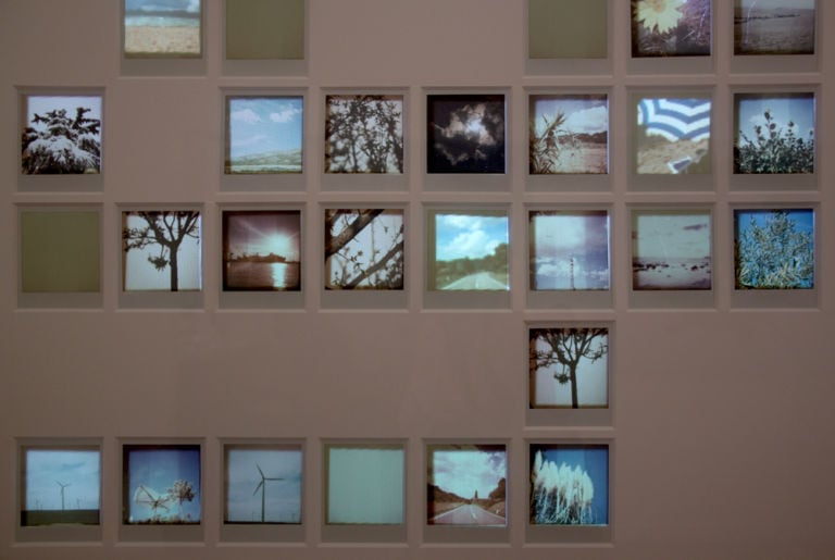 Alessia Di Montis Still of Life Seasons 2007 2013. Video proiezione mapping su polaroid tre quadri con cornice cm 103 x 91 particolare Le origini di Sara Zanin
