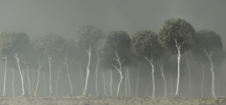 CAMPORESI Silvia Camporesi e Luca De Angelis si aggiudicano il Premio Fabbri 2013, spuntandola sui sessanta finalisti in mostra a Pieve di Soligo. Fotografia e pittura, evocando paesaggi sospesi