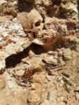 122159680 22c9daa4 e2aa 40b6 9d7b ee1f559b5202 Storia dell’Uomo di Cala Rotonda. Il turista inciampa nel reperto archeologico, ma la Soprintendenza dorme. Vandalizzato lo scheletro di Favignana, nell’attesa degli scavi