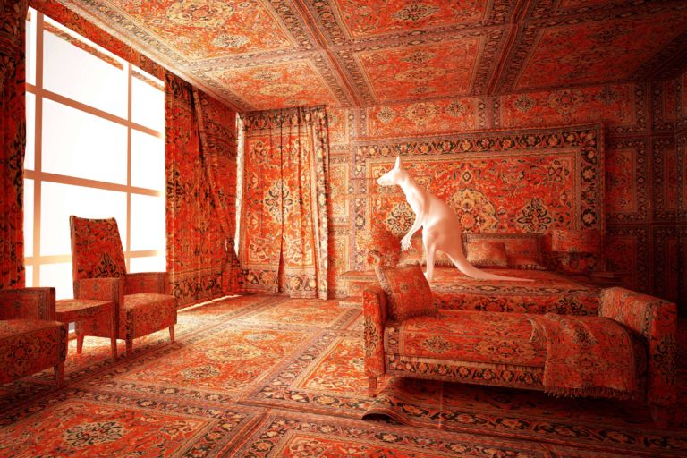 Lopera Cangaroo in the bedroom dellartista Farid Rasulov Atterraggio a Baku