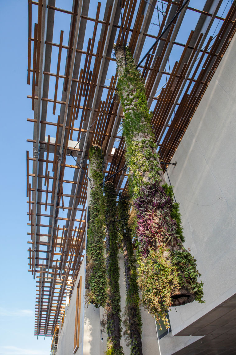 Pérez Art Museum Miami Vertical Gardens. Photo by Daniel Azoulay photography Herzog & de Meuron aprono il Pérez Art Museum. La più grande novità di Miami 2013