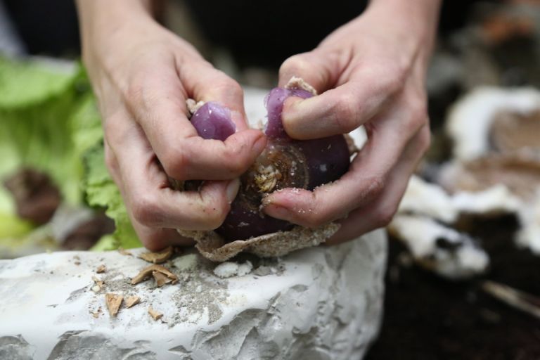 Panem et Circenses Action Eating galleria + oltredimore Bologna 7 Mangiare, che capolavoro. Alla (galleria +) oltredimore di Bologna gli Action Eating di Panem et Circenses: happening fra arte e cibo, il primo step raccontato per immagini