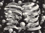 Maurits Cornelis Escher Vincolo dunione aprile 1956 litografia 253x339 mm Enigmatico Escher