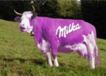 Mucca della Milka1 Le più belle mascotte della storia della pubblicità. Le rispolvera un nuovo portale: da Calimero all'omino Bialetti, un viaggio amarcord nell'universo dei brand