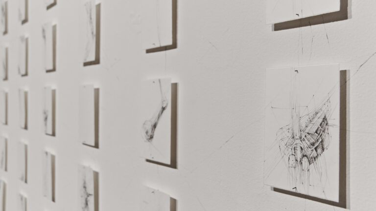 Roberta Busechian Scritti per i mostri 2013 53 disegni e testo matita su carta e su muro 10 x 15 cm courtesy lartista e Jarach Gallery Echo Back: giochi di interferenze in Laguna