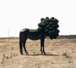 Andrea Galvani In Cina è l’Anno del Cavallo, e l’omaggio lo facciamo con opere d’arte di ispirazione equina. Le segnalazioni ci arrivano direttamente dai lettori…