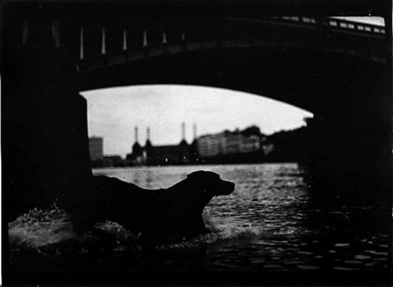 Giacomo Brunelli Eternal London 2012 14 Italiani in trasferta. Alla Photographer’s Gallery in mostra la Eternal London di Giacomo Brunelli: ecco le foto dell’inaugurazione