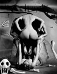 Oliver Halsman Rosenberg. Leopard Skull collaboration with Salvador Dalí1951 L’Impero della luce: variazioni, echi, corrispondenze, da Magritte a Melotti