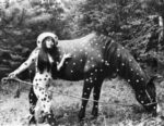 Yayoi Kusama In Cina è l’Anno del Cavallo, e l’omaggio lo facciamo con opere d’arte di ispirazione equina. Le segnalazioni ci arrivano direttamente dai lettori…