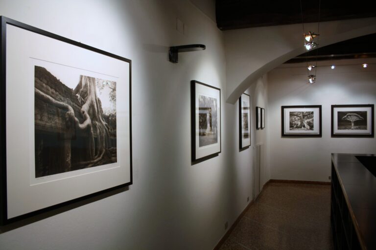 9 La spiritualità secondo Beth Moon