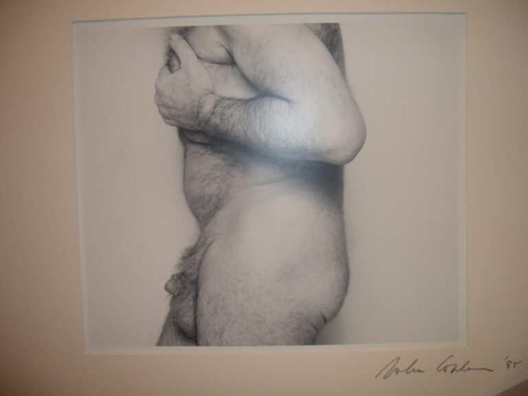 John Coplan Self portrait signed 16 x20 inches L’anti-fiera per gli artisti indipendenti. Tante immagini della Clio Art Fair, alla sua prima edizione nell’Armory week newyorkese