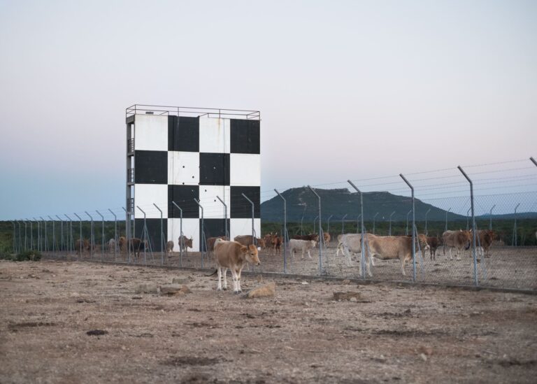 LA TERRA DELLA MEMORIA WEB 022 Il Man di Nuoro celebra Robert Capa. Con una mostra e un concorso di fotoreportage. Tra i vincitori Manuela Meloni: scorci di una Sardegna fantasma, tra paesaggio e memorie militari