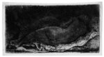 Rembrandt Harmenszoon Van Rijn Nudo di schiena disteso in ombra La negra distesa 1658 acquaforte puntasecca bulino mm 83 x 160 Le modelle, specchio dell’artista. Una collettiva a Milano