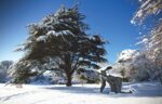 Sophie Ryder Crawling 1999. Foto di Jonty Wilde courtesy Yorskhire Sculpture Park (Re)collected in tranquillity. Lo Yorkshire Sculpture Park