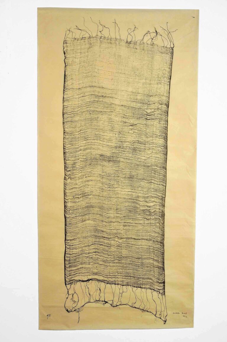 katha 5 2013 stampa digitale su carta Japan di proprietà dellartista Isabella Ducrot: l’arte in bilico su un filo di seta