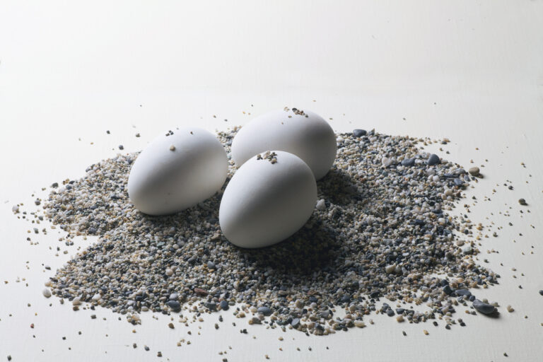17. E.S. Scultura 1968 sabbia e uova in terracotta smaltata dimesioni variabili Emilio Scanavino, demiurgo di una materia fetida e feconda