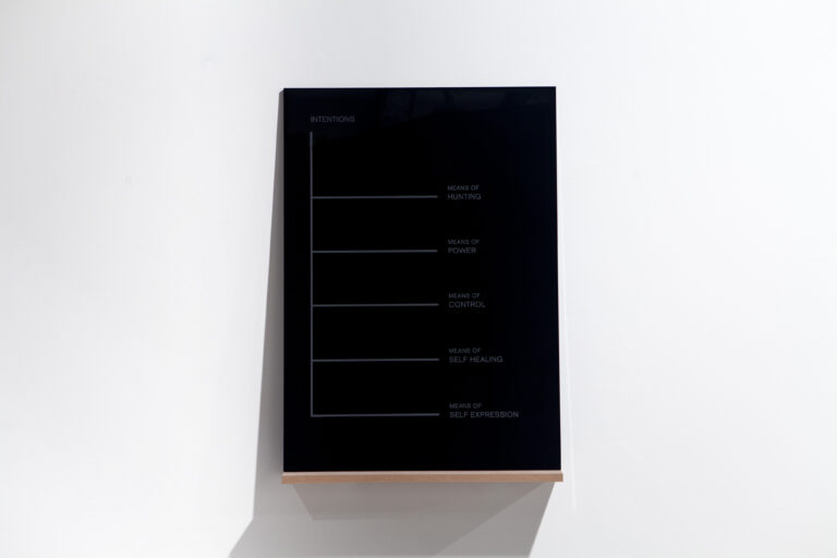 4. Mirko Smerdel M.F.G. Paltrinieri The Black Diagrams 2014 Il doppio oltre lo sguardo: Smerdel e Paltrinieri a Venezia