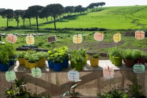 FloraCult, ai Casali del Pino di Ilaria Venturini Fendi. Tre giorni di natura e cultura tra le campagne romane: arte del giardino, workshop e installazioni