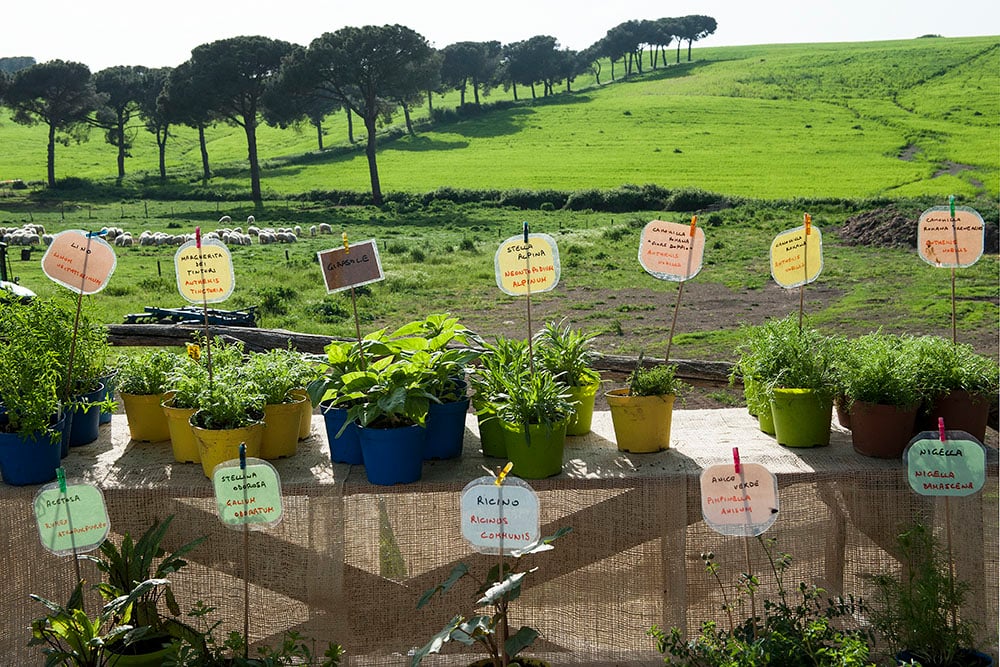 FloraCult, ai Casali del Pino di Ilaria Venturini Fendi. Tre giorni di natura e cultura tra le campagne romane: arte del giardino, workshop e installazioni