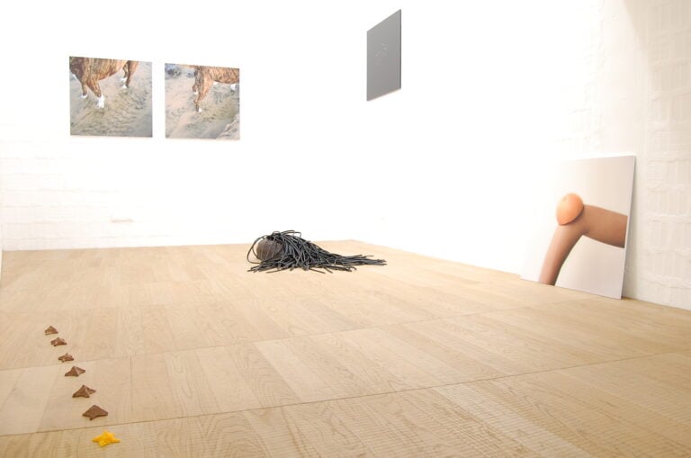 Graziano Folata La pelle della tigre veduta della mostra presso la Galleria Massimodeluca Mestre Venezia 2014 Graziano Folata e la naturalezza della materia