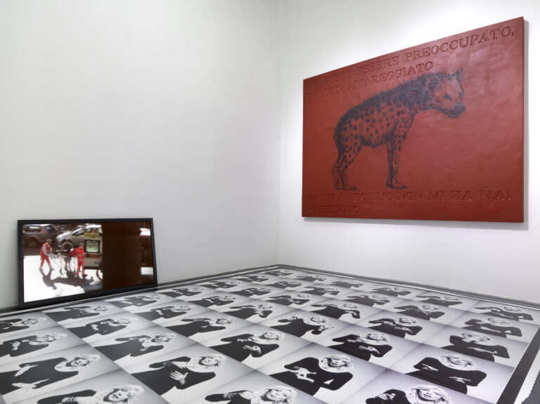 H.H.Lim Galleria Bianconi Politicamente Parlando 2014 Installation View 0072 H. H. Lim e le iene. Prima personale a Milano per l’artista malese