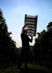 La mostra a Palazzo della Gran Guardia Giovani fotografi in vigna. Si avvicina Vinitaly, e a Verona l’azienda Zenato mette in mostra il progetto promosso con la Fondazione Studio Marangoni di Firenze: ecco le immagini