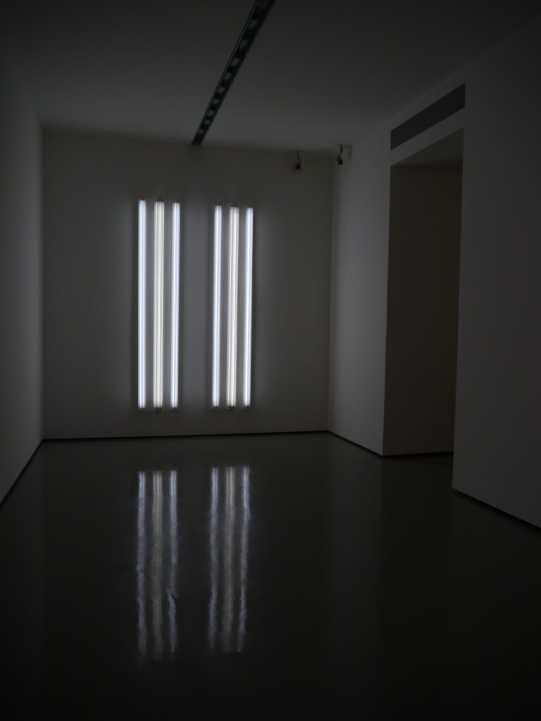 P1260263 e1397233159978 La luce secondo Pinault: fotogallery dalla nuova mostra di Palazzo Grassi, con i site-specific di Dahn Vo e Doug Wheeler