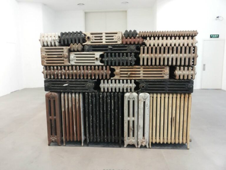 The hot winds that blow from the West 2011 131 radiators L’India invade la Cina. Bharti Kher a Shanghai