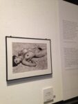 Tina Modotti Retrospettiva Palazzo Madama Torino 11 Tina Modotti: fotografa e rivoluzionaria. A Palazzo Madama di Torino grande retrospettiva dell’amica di Diego Rivera e Frida Kahlo, ecco le immagini