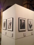 Tina Modotti Retrospettiva Palazzo Madama Torino 2 Tina Modotti: fotografa e rivoluzionaria. A Palazzo Madama di Torino grande retrospettiva dell’amica di Diego Rivera e Frida Kahlo, ecco le immagini