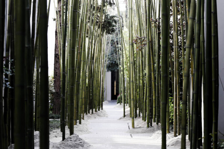 intotheforeststellamccartenysalonedelmobile Salone del Mobile 2014. Stella McCartney ecosostenibile: fashion, food e design, “Into the Forest”