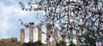 templi Sette artisti siciliani, all’ombra dei templi di Agrigento. Una collettiva nel giardino di Villa Aurea, nel cuore del celebre parco archeologico