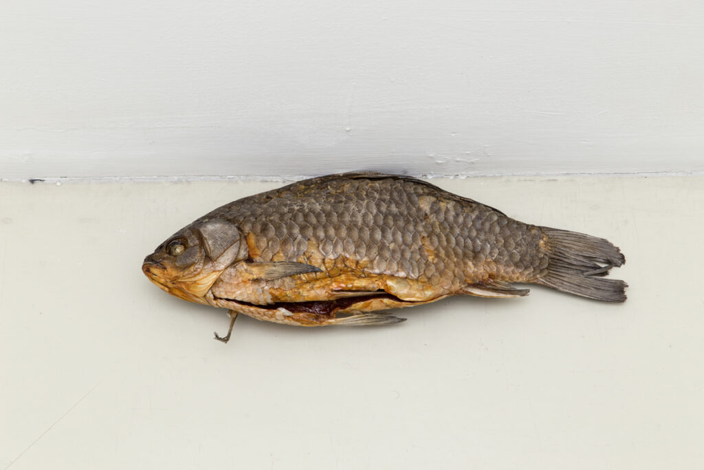 Produci consuma crepa. Luca Francesconi a Napoli