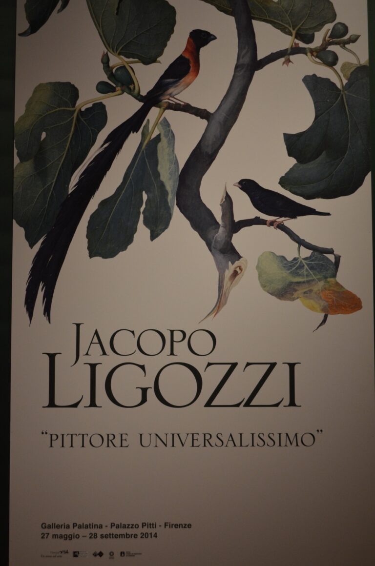 Jacopo Ligozzi Galleria Palatina Firenze foto Valentina Silvestrini 12 Un veronese a Firenze. A Palazzo Pitti apre la prima monografica su Jacopo Ligozzi, ecco le immagini dalla preview