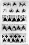 John Ruskin finestre dei primi palazzi gotici 1853. Courtesy The Project Gutenberg eBook The Stones of Venice Volume II Il fascino indiscreto della rovina. Una mostra alla Tate Britain