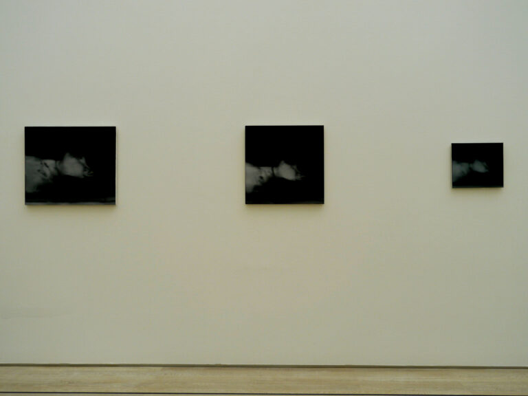 P1260621 Gerhard Richter alla Beyeler: ampia fotogallery dalla preview della mostra che a Basilea indaga serie e cicli dell’artista. Per la regia di Obrist