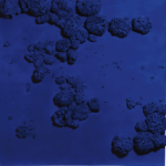 Yves Klein Relief eponge bleu RE 51 1959 Dan Flavin, Matthew Barney, Keith Haring, Julian Schnabel. Pioggia di record anche da Sotheby’s New York, nell’asta di Contemporary Art che totalizza 365 milioni di dollari