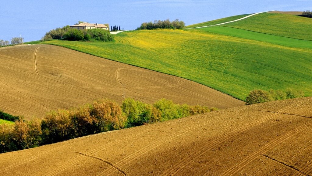 Arte contemporanea e bioculture, nelle Marche. Passeggiate creative fra i territori del vino: un bando per cinque artisti