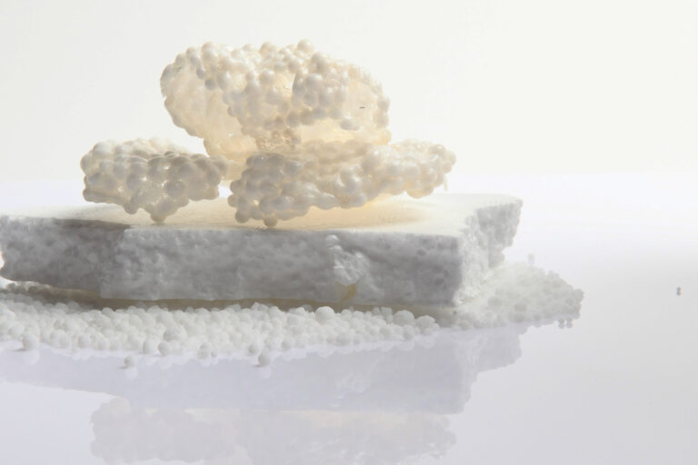 white truffle styrofoam Artecucina: la luna di Fabio Mauri e il cracker di Ryan Clift