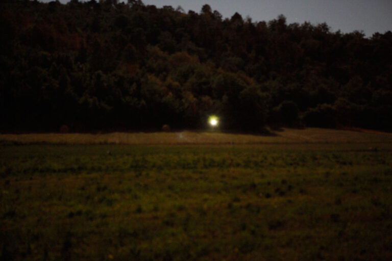 AdrianoNasutiWood phLucaPancrazzi Idea finesettimana. Cultura e relax tra le colline del Chianti. Dagli artisti di MADEINFILANDIA al mix arte e scienza del Chianti Star Festival