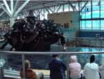Airport Art 9 Airport Art. L’arte tra arrivi e partenze