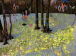 Gianluca Capozzi Nature 2014 matite colorate pennarello acrilico su foto digitalizzata e stampata su plexiglas trasparente 50x67x08 CM Postille sul paesaggio, a Verona