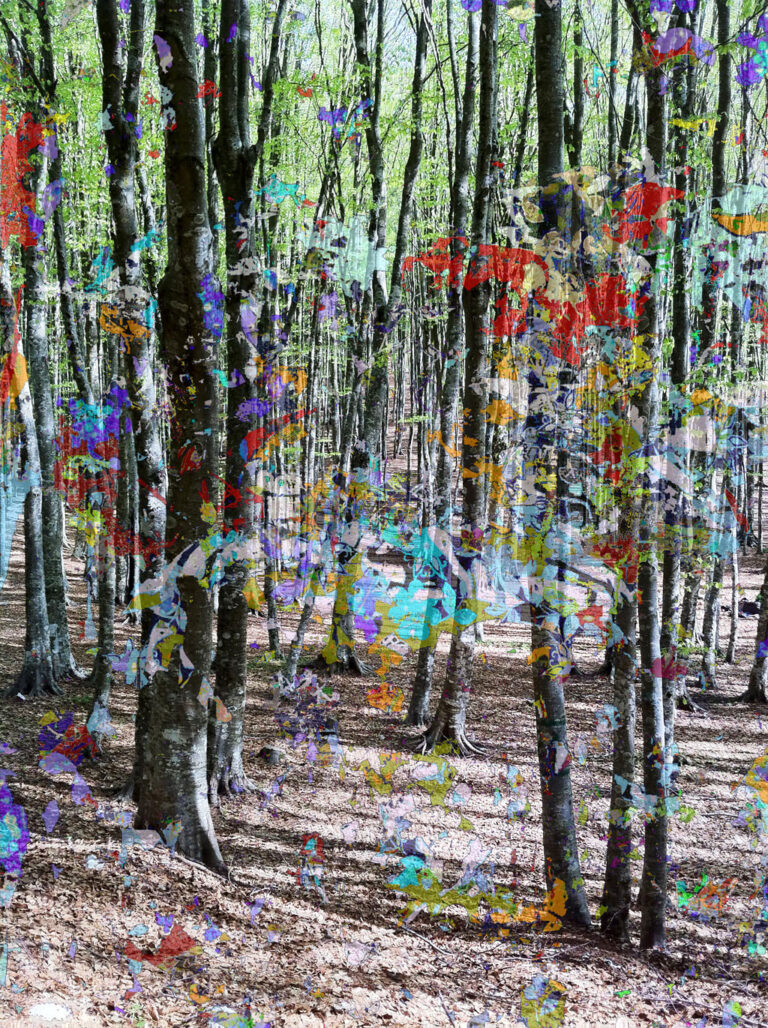 Gianluca Capozzi Trees2 2014 matite colorate pennarello acrilico su foto digitalizzata e stampata su plexiglas trasparente 69x92x08 CM Postille sul paesaggio, a Verona