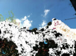 Gianluca CapozziForest 2014 matite colorate pennarello acrilico su foto digitalizzata e stampata su plexiglas trasparente 50x67x08 CM Postille sul paesaggio, a Verona