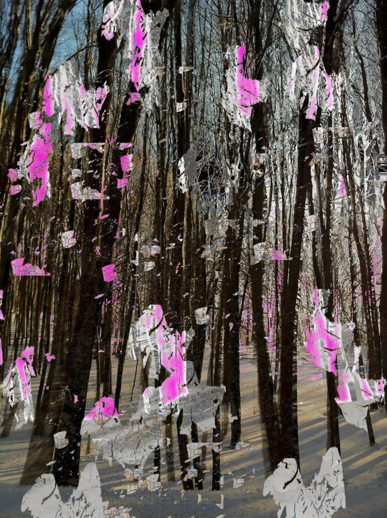 Gianluca CapozziTrees5 2014 matite colorate pennarello acrilico su foto digitalizzata e stampata su plexiglas trasparente 92x69x08 CM Postille sul paesaggio, a Verona