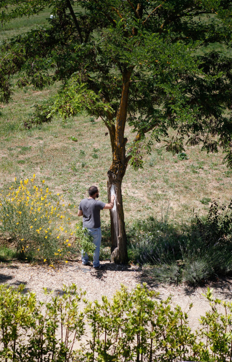 MirkoCanesi phLucaPancrazzi Idea finesettimana. Cultura e relax tra le colline del Chianti. Dagli artisti di MADEINFILANDIA al mix arte e scienza del Chianti Star Festival