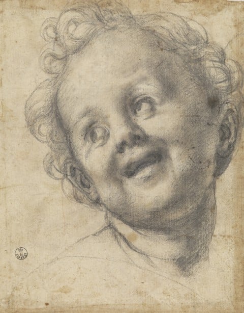 Pontormo, Studio per il Gesù Bambino della Pala Pucci, 1518, pietra nera su carta, cm 218x168. Firenze, Gabinetto Disegni e Stampe