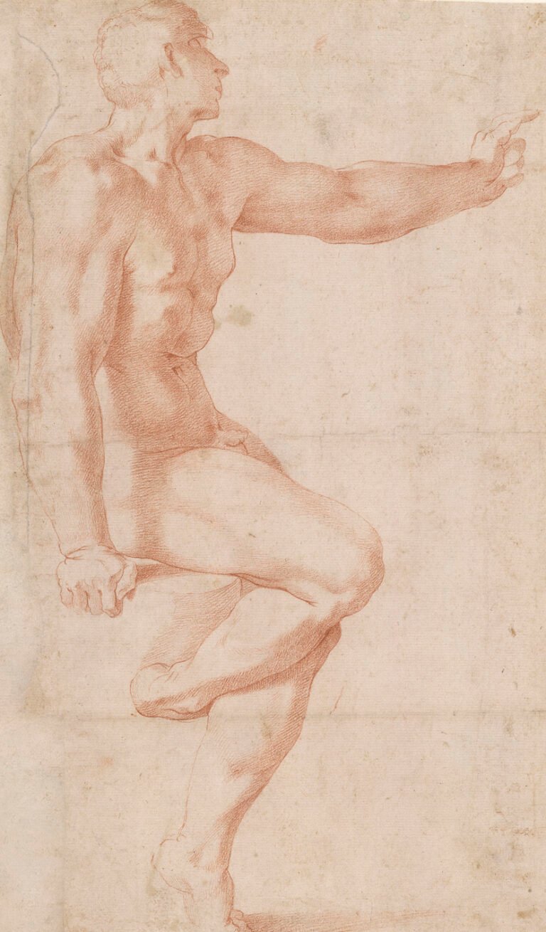 Rosso Fiorentino, Studio di nudo seduto, 1525-27, pietra rossa su carta, cm 36,3x21,4. Londra, The British Museum